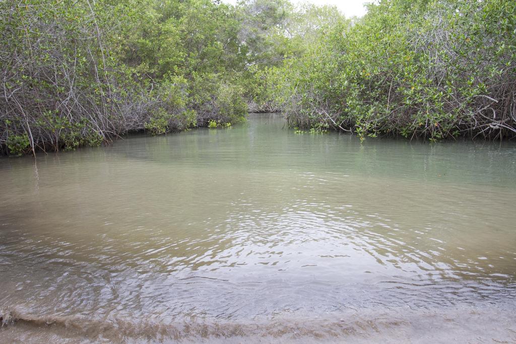 Paraiso De Isabela Puerto Villamil Ngoại thất bức ảnh
