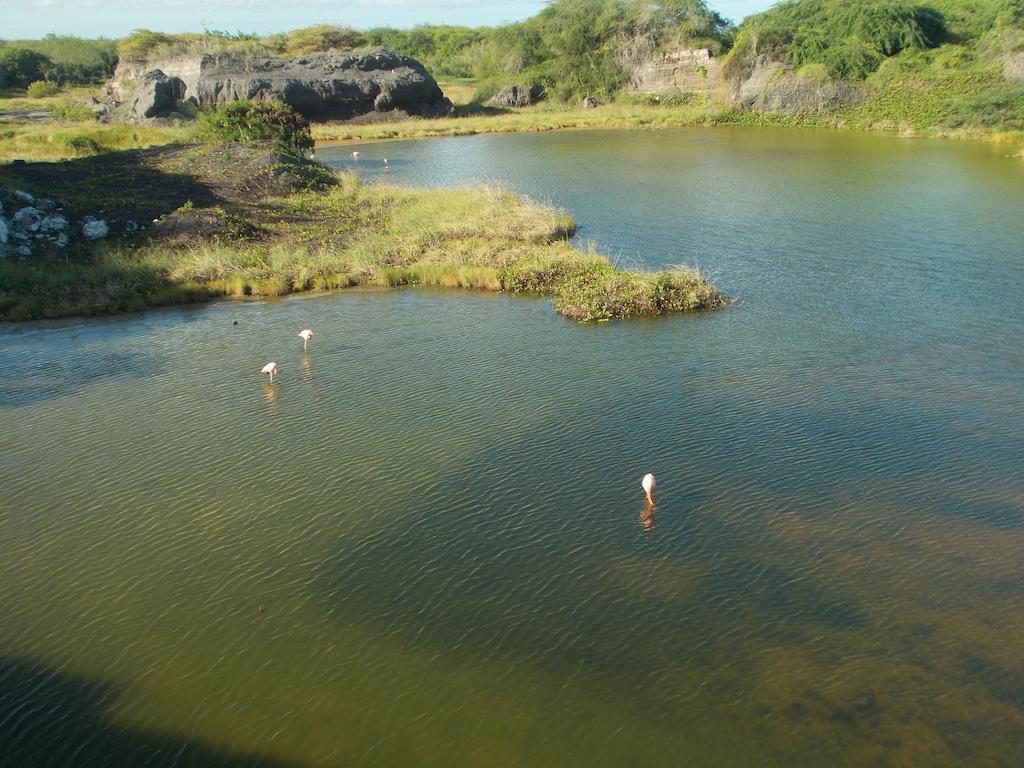 Paraiso De Isabela Puerto Villamil Ngoại thất bức ảnh